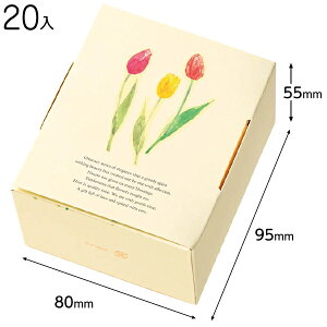 TLP-GXS `[bvMtgBOX-XS 20 { bsOpi  Mtg v[g yY Cxg p[eB[ }{ Mtg bsO  Mtg{bNX ϔ ȒP  ̓ }603[24I21]