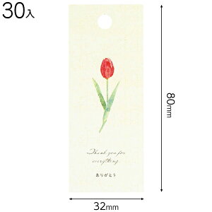 TLP-T1 `[bv^bO-1 ( 30 ) { bsOpi  Mtg v[g yY Cxg p[eB[ }{ Mtg bsO ȒP   킢 }603[24I21]