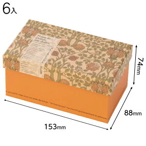 VFR-HBS Be[Wt@ubN\ l[S 6 { bsOpi  Mtg v[g yY Cxg p[eB[ }{ Mtg bsO  Mtg{bNX ϔ ȒP  }603[24I