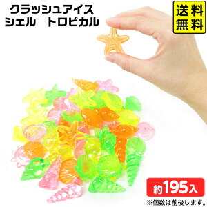 NbVACX VF gsJ 1kg { ΂ AN ǂ ݂ǂ   ii Ղ  ≮ čՂ fBXvC }{  Ĉ 