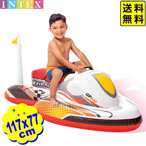 CebNX t[g nht EF[uC_[ ChI 57250 117x77cm INTEX {  j̎q ǂ q }{  qp V oCN 蕨 }902[25D29] (