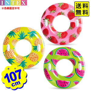 CebNX CebNX gsJ t[c  56261 107cm INTEX Fws{ v[ C r[`  v[pi V W[ }{   t[g q qp l lp }[25D29