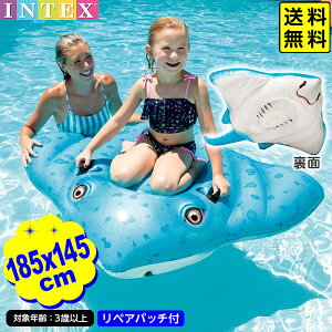 CebNX XeBOC ChI t[g 57576 1D85mx1D45m INTEX { v[    t[g C r[`  v[pi V q v[g }{    j̎q }[