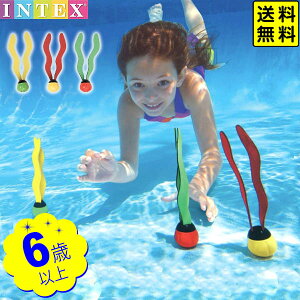 CebNX A_[EH[^[ t@{[ 55503 INTEX { v[ v[pi V q c 킢 IV CO v[g }{   _CrO  {[ }[25D29] (