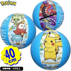 |P r[`{[ 40cm { v[ C r[`  ċx q Mtg v[g v[V V v[pi W[ }{  |PbgX^[ sJ`E {[ }[25F07] {z敪D}