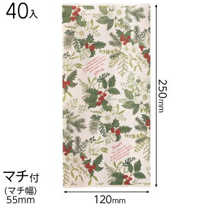 XHI-2HP NX}XqCMy[p[obO -2 ( 40 ) { bsOpi  Mtg v[g yY Cxg p[eB[ }{ NX}X bsO bsO ȒP MtgobO  