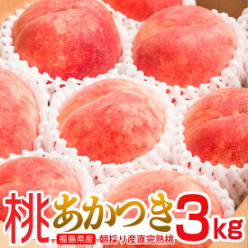 桃 あかつき 送料無料！ 福島県産桃 あかつき 3kg（9個前後）ふくしまが誇れる桃の代表品種 桃 もも ふくしまプライド
