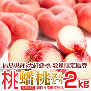 崓������y�\�񒍕�8�����{�����甭���z���ʌ���̔� ���������I�������Y �� 崓�2kg�@(14���O��) ��g崓�