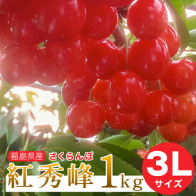 【予約注文6月下旬頃から発送】送料無料！福島県産さくらんぼ 紅秀峰 3Lサイズ 1kg バラ詰め ご家庭用 贈答品 ギフト 贈り物 福島県 伊達市産 産地直送 ふくしまプライド