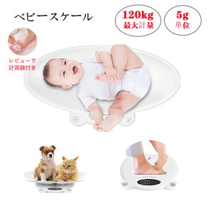 xr[XP[ ̏dv fW^xr[XP[ x 5gP Ԃ V dq̏dv \ȃfUC l/q/ybg p xr[ ybgXP[ ܋@\t kg/st/lb Pʕ