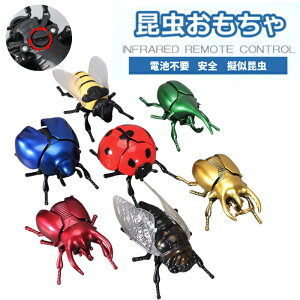 y܂Ŗ{!Aɓ!z[dsv   p_ 27 ĂƂ J T\ JugV ܂ ol  ߋ k v[g/ȒP/RpNg l ߋ