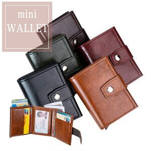 _ő20%OFF^z fB[X Y PU ܂ ~jz ^ y XL~Oh~ [J[h RpNg j J[hP[X J[h rWlX ʋ ʊw lC y X TCt