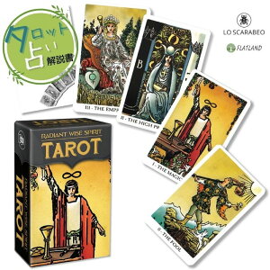 fBAg CY Xsbg ^bg ~j Radiant Wise Sprit Mini ^bg肢 {t Ki  ^bgJ[h 78