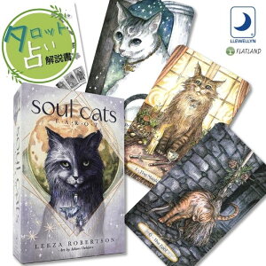 \E Lbc ^bg Soul Cats Tarot ^bg肢 {t Ki  ^bgJ[h 78 L 킢