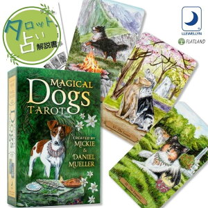 }WJ hbOX ^bg Magical Dogs Tarot ^bg肢 {t Ki  ^bgJ[h 78  킢