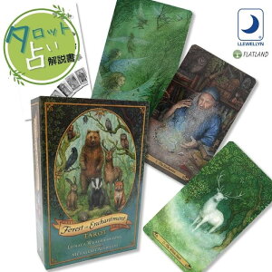 tHXg Iu G`gg ^bg Forest of Enchantment Tarot ^bg肢 {t Ki  ^bgJ[h 78