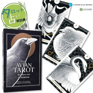 GCBA ^bg Avian Tarot ^bg肢 {t Ki ^bgJ[h 78 