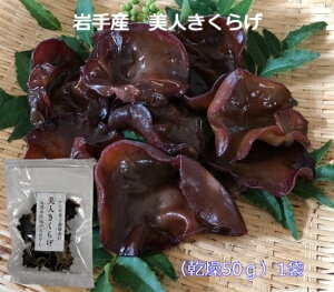 stl炰 茧Y 炰 50g×1 炰 LNQ LNQ Y {Y r^~D e ֔P _CGbg JVE