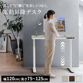 電動昇降デスク 幅120cm テーブル ワークデスク『電動昇降デスク SD』高さメモリー機能 高さ調整 USB付き おしゃれ 電動昇降テーブル PCデスク パソコンデスク オフィスデスク ゲーミングデスク 昇降デスク 昇降テーブル 電動 昇降 デスク 昇降式