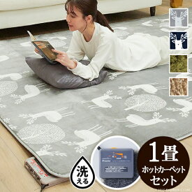 【40％OFFクーポン対象商品！】ホットカーペット カバー 洗える 『ラグマット〔モリス〕 1畳用（190x100cm）+ホットカーペット本体セット』 セット 電気カーペット ラグ マット ふんわり 北欧 防ダニ 無地 フランネル 保温シート awcp