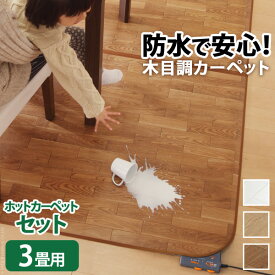 【5%OFFクーポン対象！】ホットカーペット カバー 防水 木目調ホットカーペット・カバー 〔ウッディ〕 3畳用(250x198) +ホットカーペット本体 2点セット セット ラグ リビングマット フローリング調 クッション性 抗菌 防カビ 防汚 防水 日本製 床暖房 ペット 子供