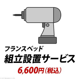 組立設置サービス：+6,600円（税込）[■]