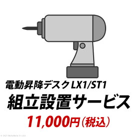 組立設置サービス[電動昇降デスクLX1/ST1]：+11,000円（税込）[■]