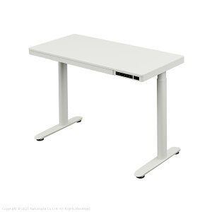 電動昇降デスク 幅120cm テーブル ワークデスク『電動昇降デスク SD』高さメモリー機能 高さ調整 USB付き おしゃれ 電動昇降テーブル PCデスク パソコンデスク オフィスデスク ゲーミングデス