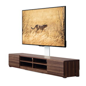 er WALL Ǌ񂹃eX^h erpX^h{wʎ[er 180cmZbg WALL EH[ EQUALS CR[Y