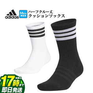 yFGz2025N f adidas AfB_X St KRP20 n[tN[ X[XgCvX NbV \bNX [3XgCvXfUC]iYj