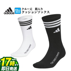 yFGz2025N f adidas AfB_X St KTJ04 N[  NbV \bNX [KxȃNbVƉKȃtBbg]iYj