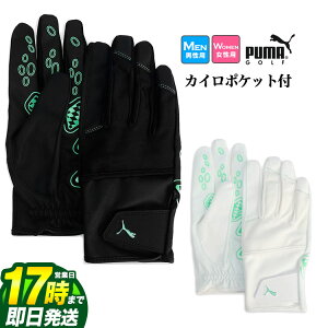 yFGzySALEEZ[zy{KizPUMA v[} St 042060 VhE EB^[ O[u iYj