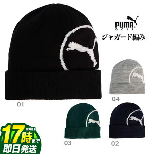 yFGzySALEEZ[zy{KizPUMA v[} St 026045 T[NLbg r[j[ iYj