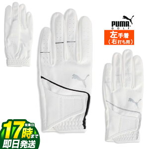 yFGzy{Kiz2025N PUMA v[} St X[p[ ^b` O[u (蒅/Ełp)[NCbNN[W[] iYj