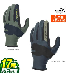 yFGzy{Kiz2025N PUMA v[} St t[ OtBbN O[u (蒅/Ełp)[Lk̂] iYj