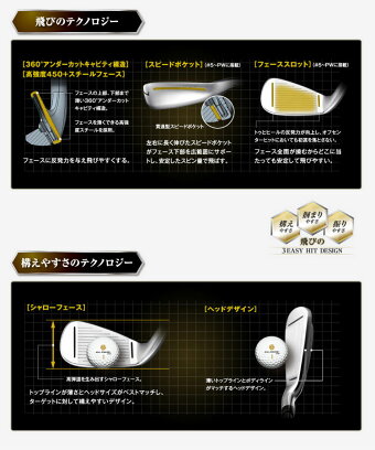 テーラーメイドGLOIREGグローレGアイアン5本セット(#6-PW)N.S.PRO830GH【ゴルフクラブ】
