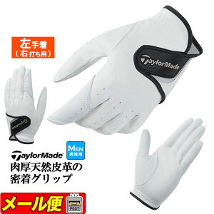 yFGze[[Ch St TaylorMade TJ161 p[oCg O[u (蒅/Ełp) (Y)