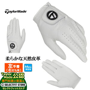 yFGzTaylorMade e[[Ch St UN145 TP WFjCU[O[u (Y)