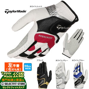 yFGzTaylorMade e[[Ch St UN146 C^[NX 6.0 O[u (蒅/Ełp) (Y)