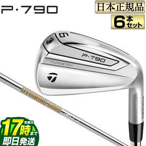 【FG】2019年モデル Taylormade テーラーメイド ゴルフ New P790 アイアン セット 6本セット(#5〜PW) DynamicGold ダイナミックゴールド 120 VSS
