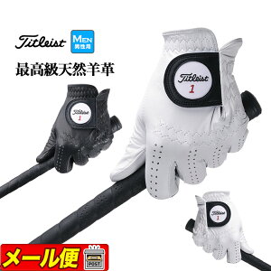 yFGzy{Kiz Titleist ^CgXg St TG73 JP Professional 73 MAR NEW vtFbVi O[u (EpƍpꃂfƂȂ܂)iYj