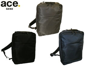 3iTȂv[g bsO Ki NX}X iۏ Y fB[X ace.GENE ACE.GENE G[X acegene G[XW[ G[XW[ G[X KWF^uR bN 14bg