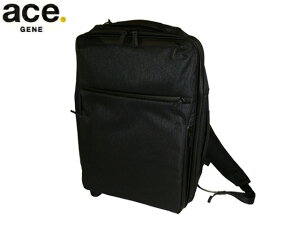 3iTȂv[g bsO Ki NX}X iۏ Y fB[X ace. GENE ace.GENE ACE.GENE G[X acegene G[XW[ G[XW[ G[X KWF^u wU[2 68294 