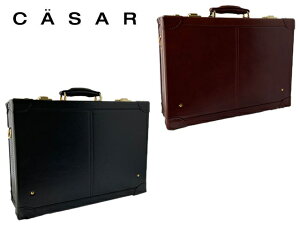 N[|L bsO Ki NX}X Y fB[X Mtg V[U[ CASAR V[U[ CASAR o gN^vA^bVP[X 015511 ikt02