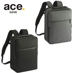 3�i���T����Ȃ��v���[���g ���K�i ��̓� �M�t�g ���i�ۏ� �����Y �m�x���e�B�t ace. GENE ace.GENE �G�[�X acegene �G�[�X�W�[�� �G�[�X �W�[�� �K�W�F�^�u��CB2 �r�W�l�X�����b�N A4�T�C�Y 14.0�C��