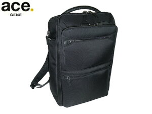 3iTȂv[g bsO Ki iۏ Y fB[X NX}X ace. GENE ace.GENE ACE.GENE acegene G[XW[ G[X W[ EVL-4.0 u[tP[X 2C GLXp_