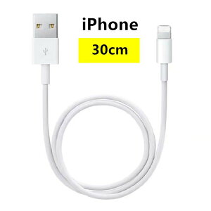 2A[d f[^] P[u USB iPhone ACtH ϋv [dP[uy30cmz