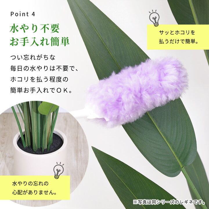 楽天市場】【クーポンで5%OFF☆2/22 0:00〜2/23 1:59】 ヤシの木 