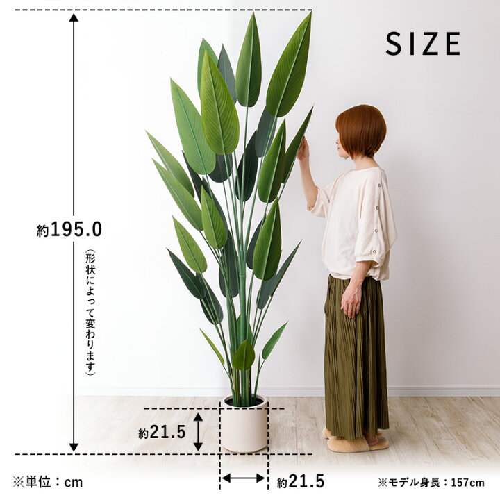 楽天市場】ストレリチア レギネ フェイクグリーン 光触媒フェイク 