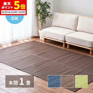 【ポイント5倍★10/19 12:00〜23:59】 洗える い草風 カーペット ライアン 本間 1帖 1畳 PP ラグ ビニール風 上敷 ござ 畳の保護 約95.5×191cm